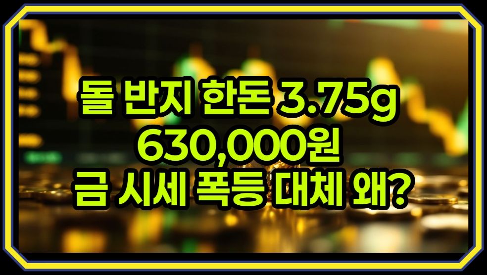 2025년 금시세 급등 이유와 원인 대체 왜 feat. 돌반지 한돈 63만원