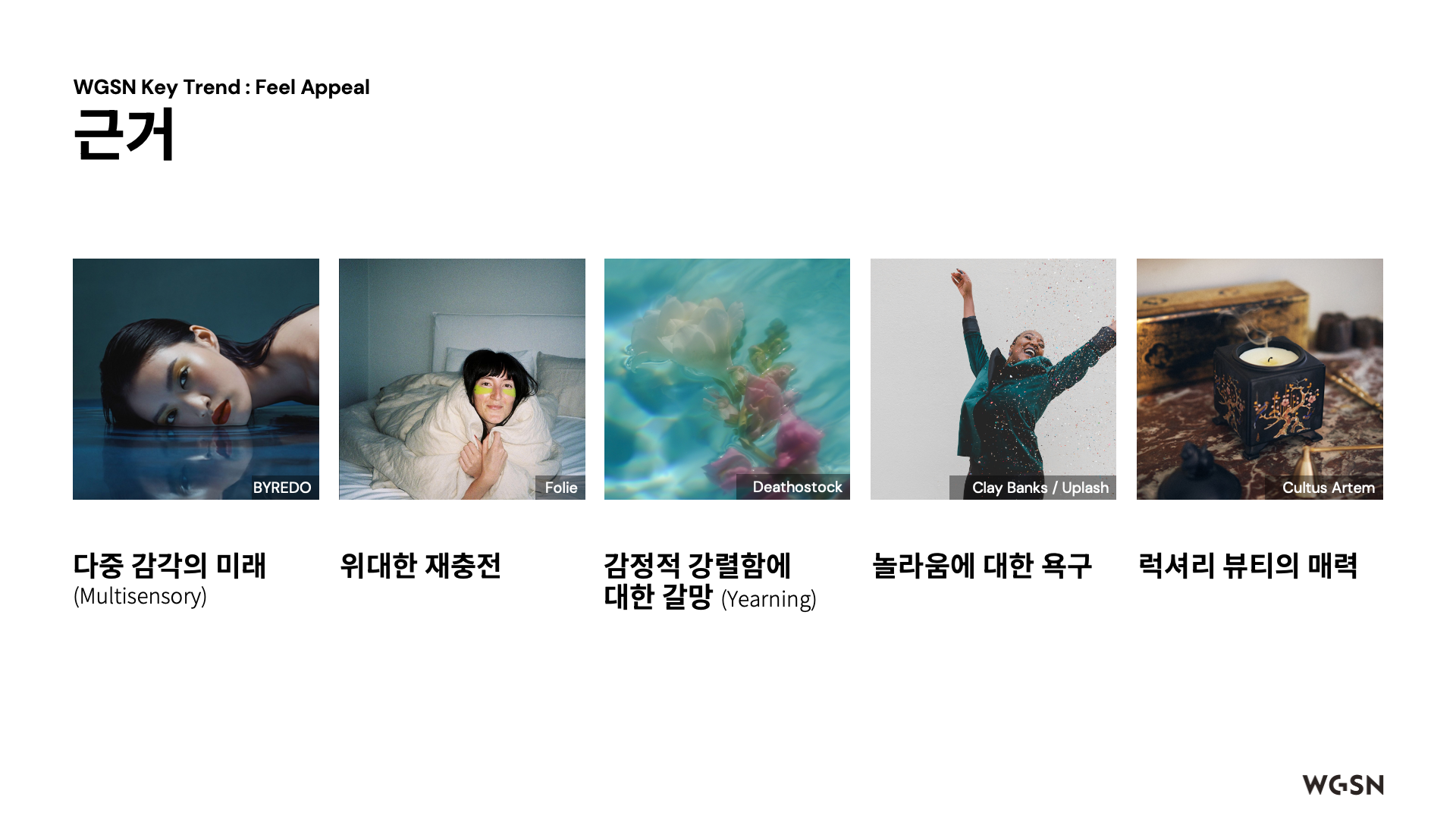 감각적 매력(Feel Appeal) 트렌드의 다섯가지 근거