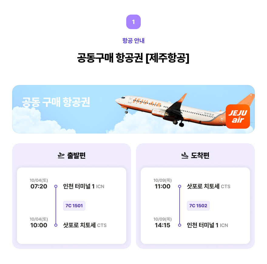 항공권 정보