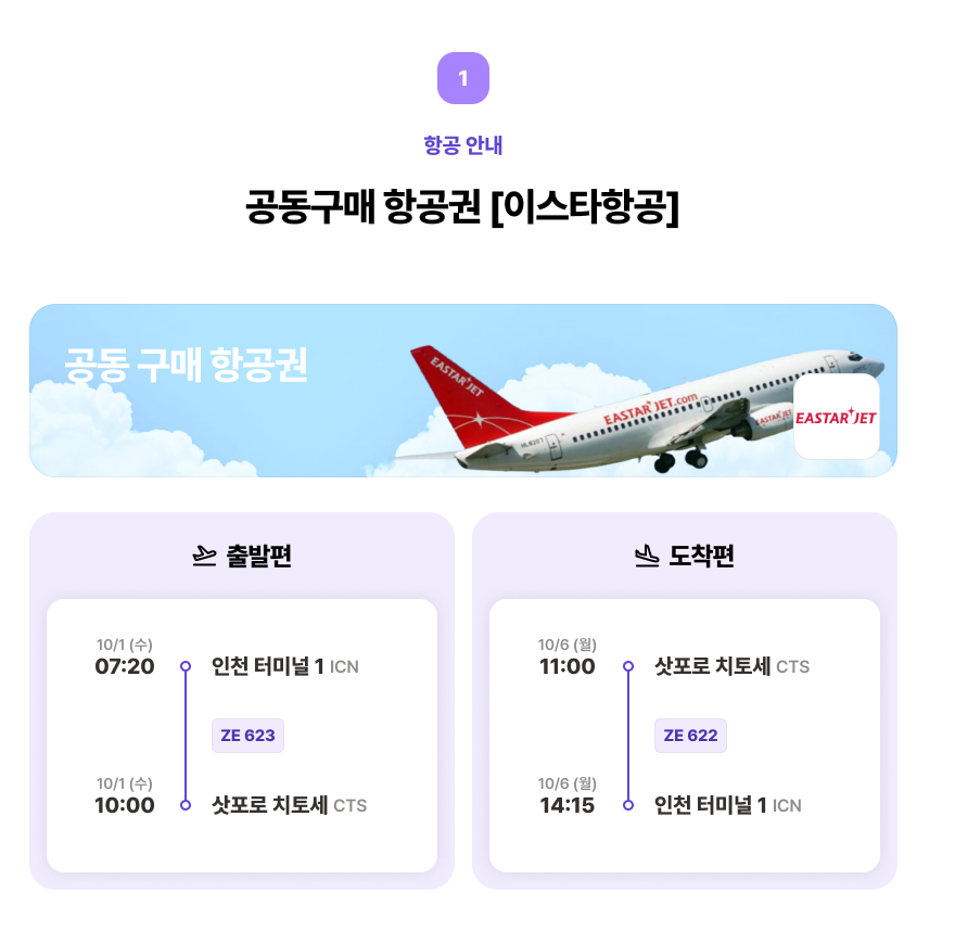 항공권 정보