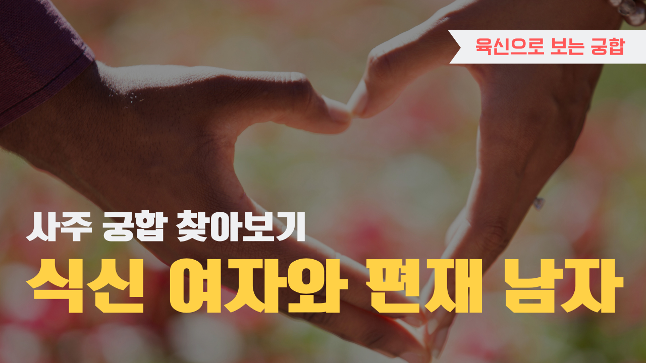 사주 육신으로 궁합 찾아보기, 식신 여자와 편재 남자
