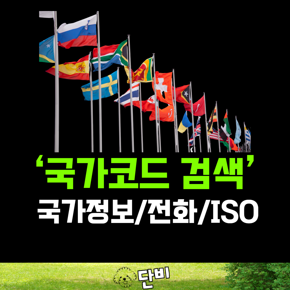 국가코드 검색기 | ISO, 국가번호, 수도, 통화코드 등 248개국 정보