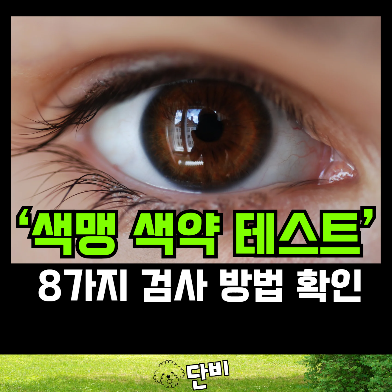 색맹 색약 테스트 센터 8가지 종합 검사 | AI 기반 온라인 색각 이상 확인