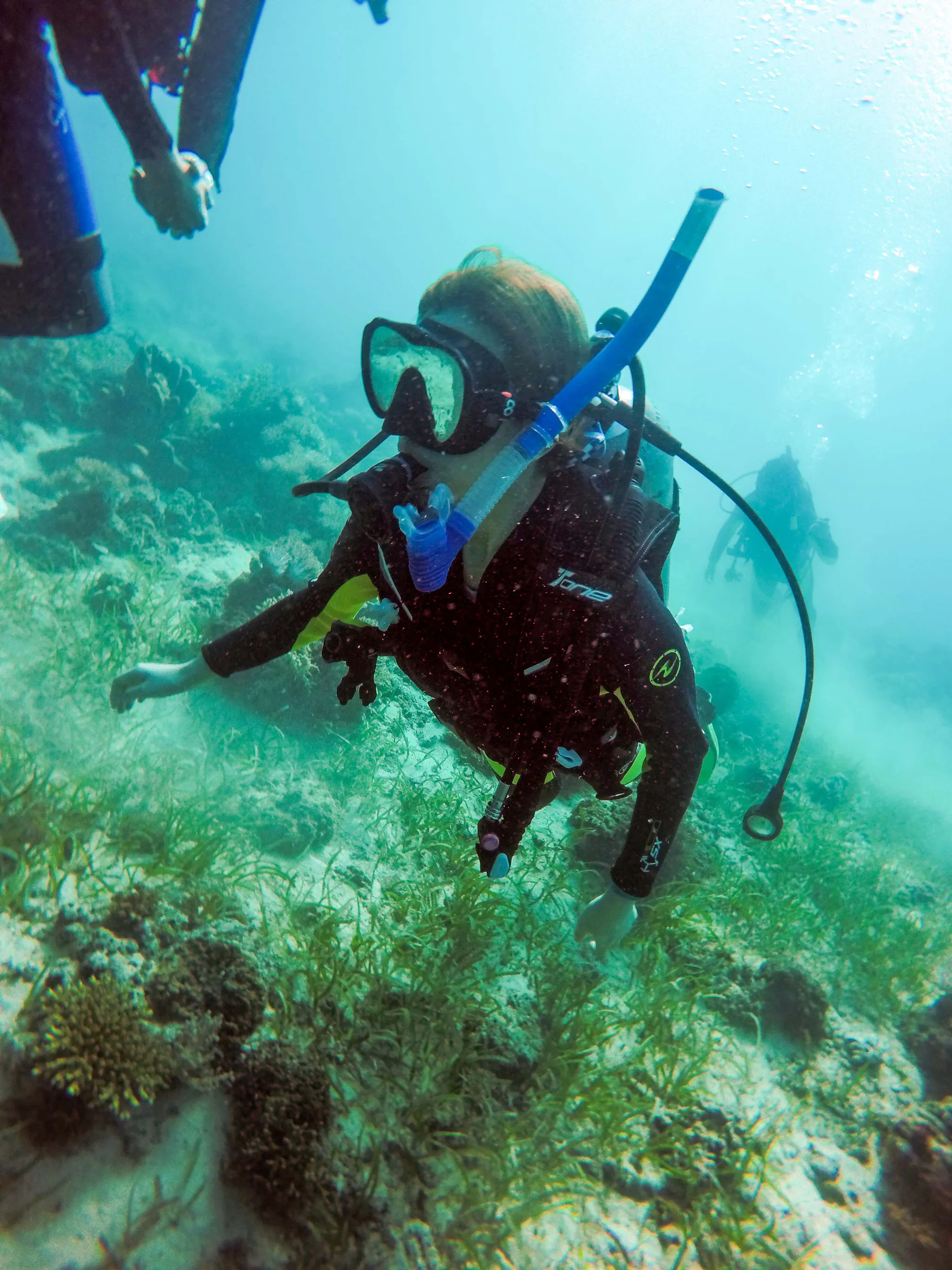 underwater safety training 스쿠버 수중 훈련
