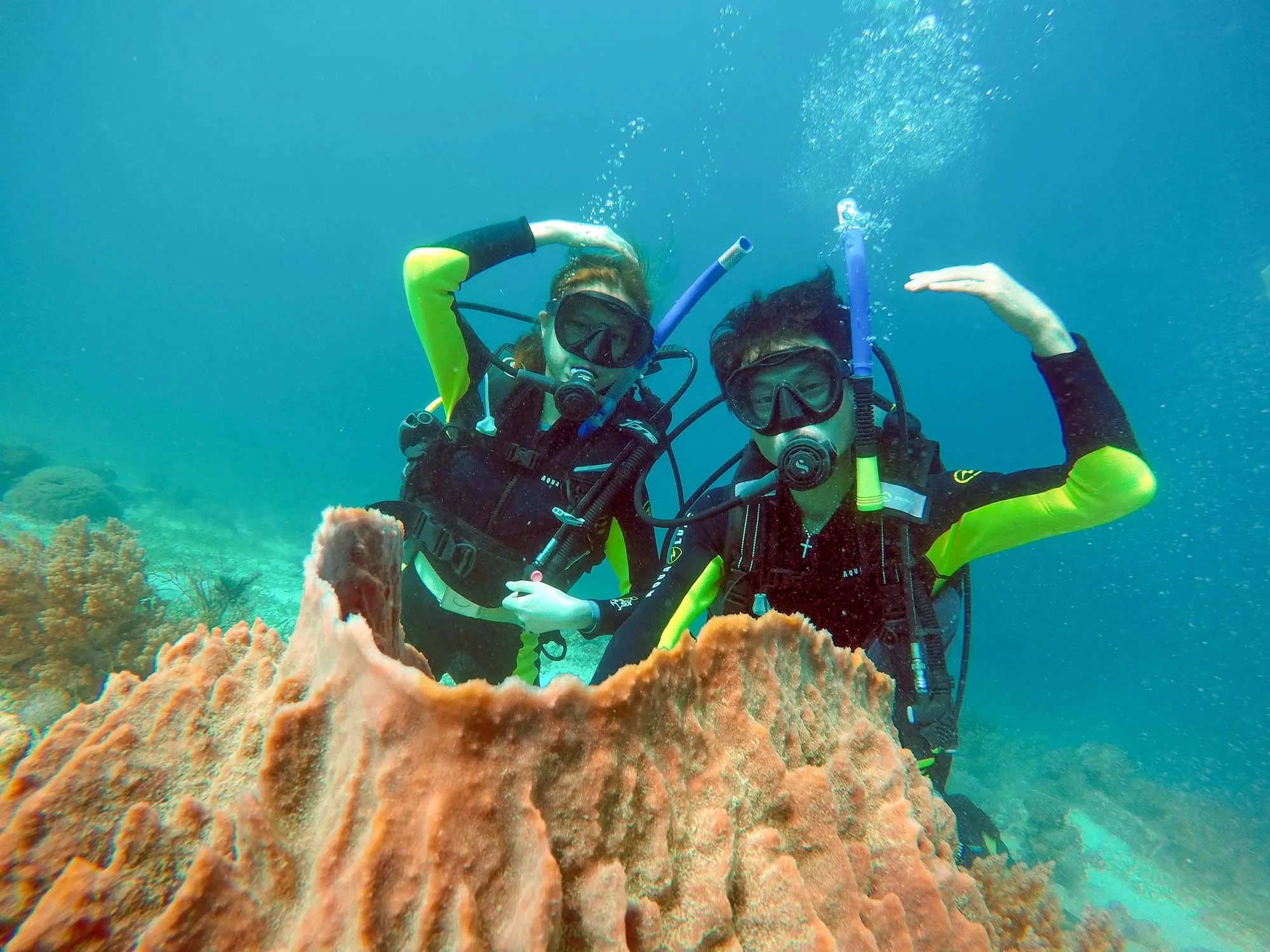 sduba diving cebu 스쿠버 다이빙 세부