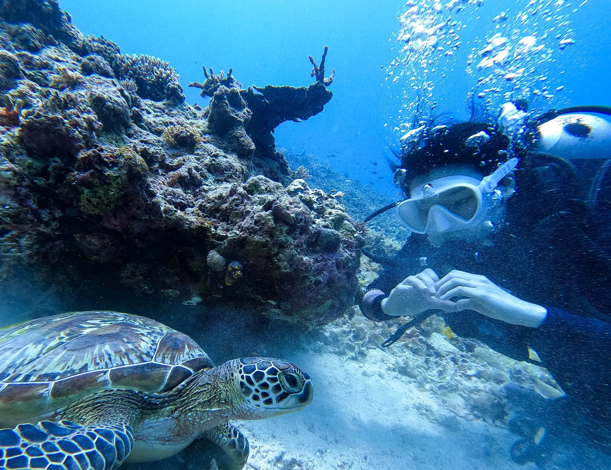 Danao Beach scuba 다나오 비치 스쿠버 다이빙