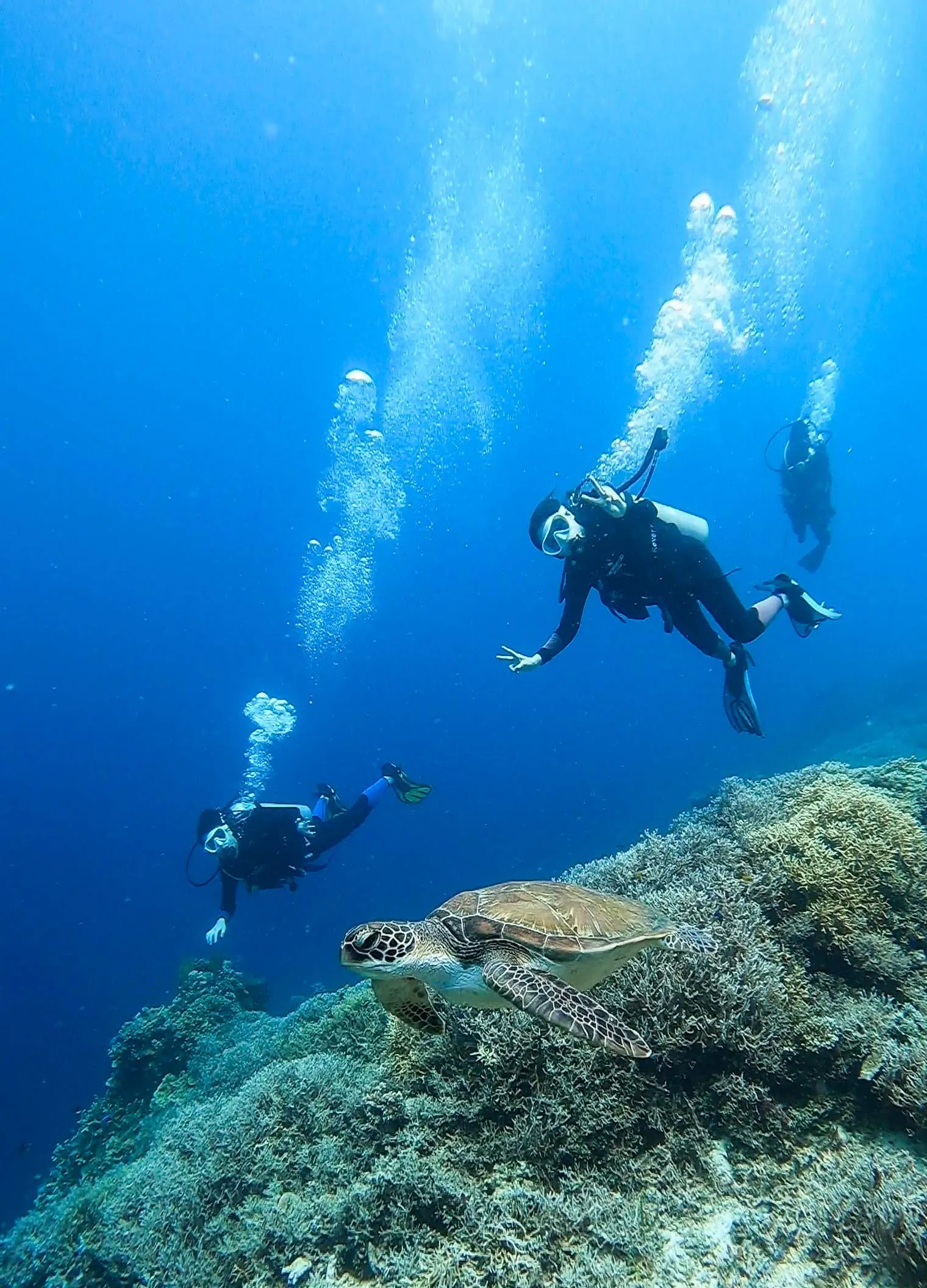 doljo beach diving 돌호비치 스쿠버 다이빙