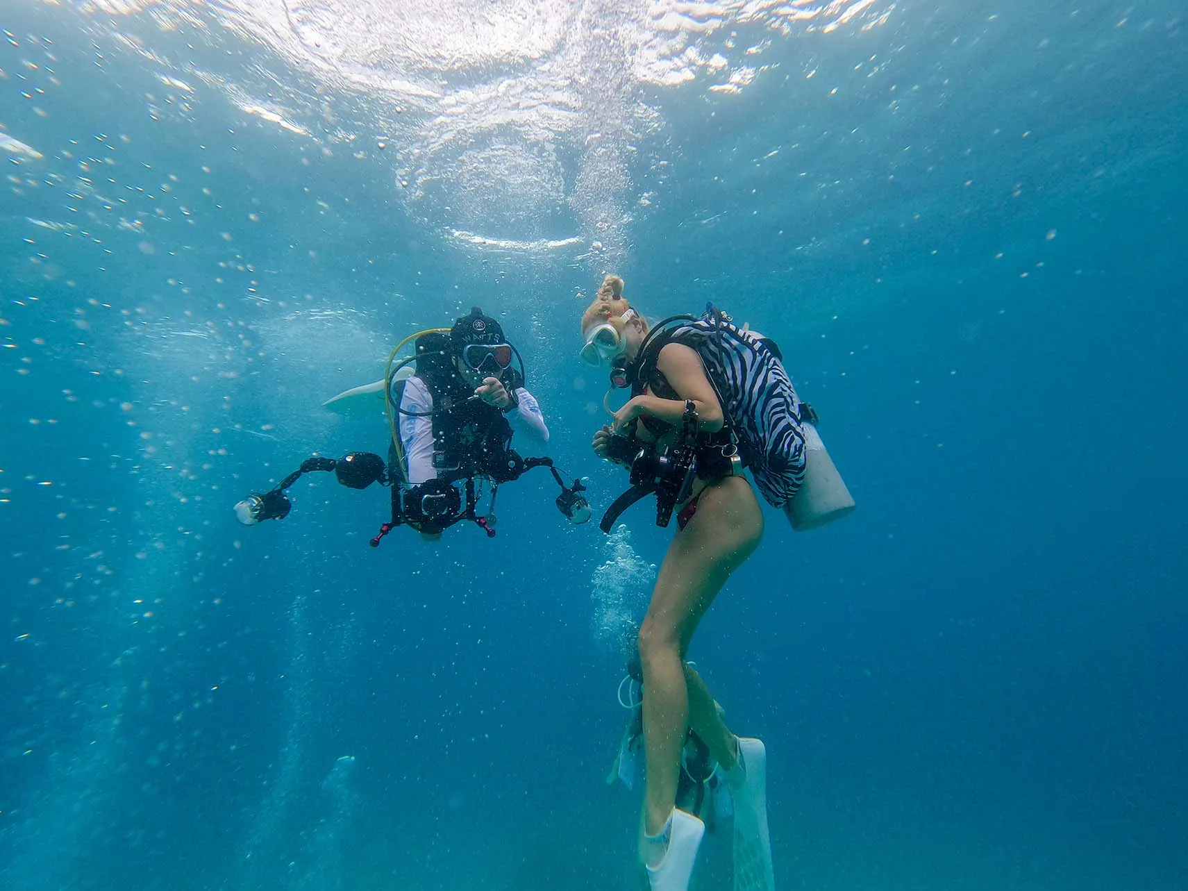Bohol scuba diving 보홀에서 다이빙하는 다이버