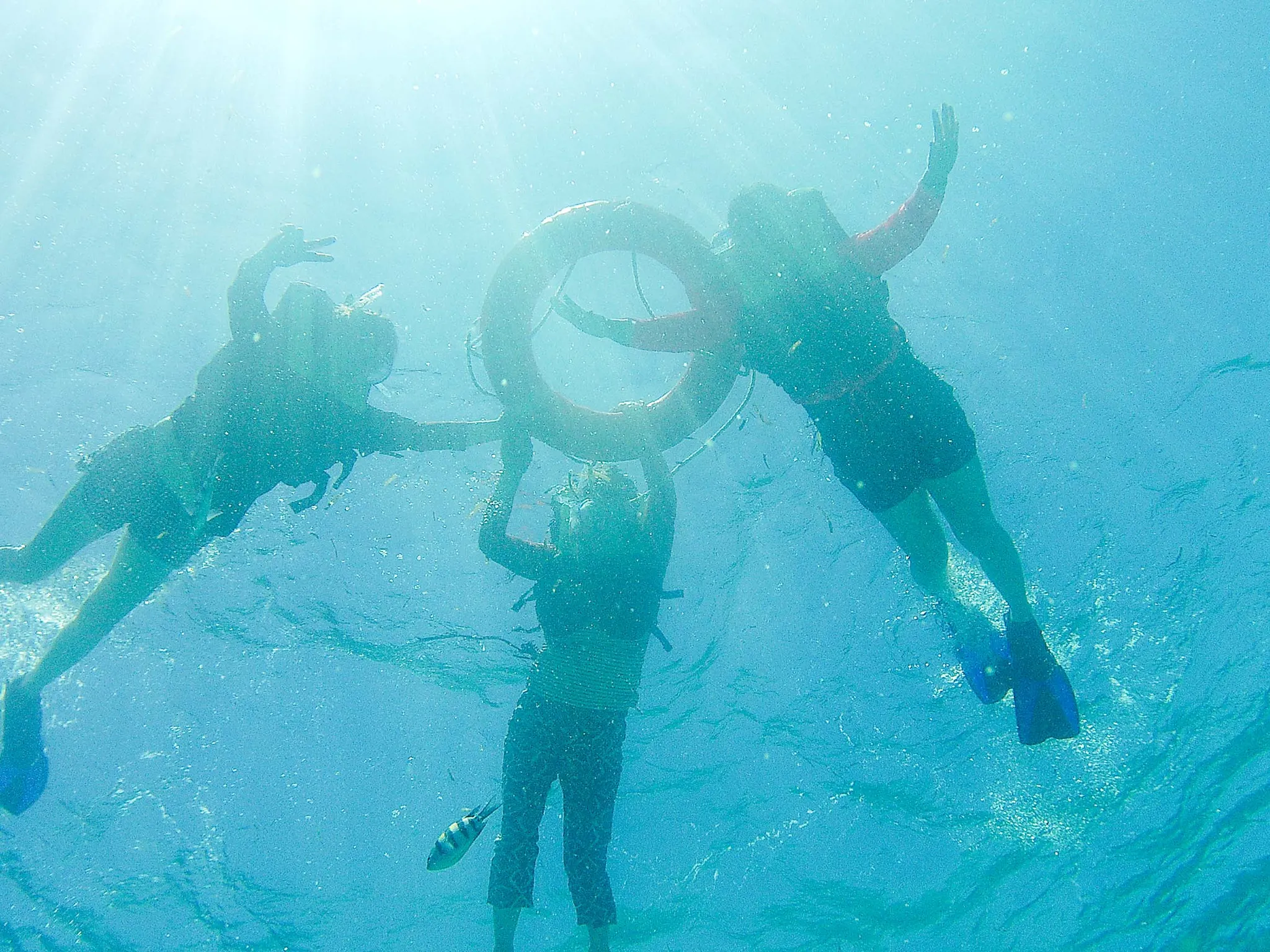 Cebu Travel Snorkeling 세부에서 스노쿨링 하는 사람들