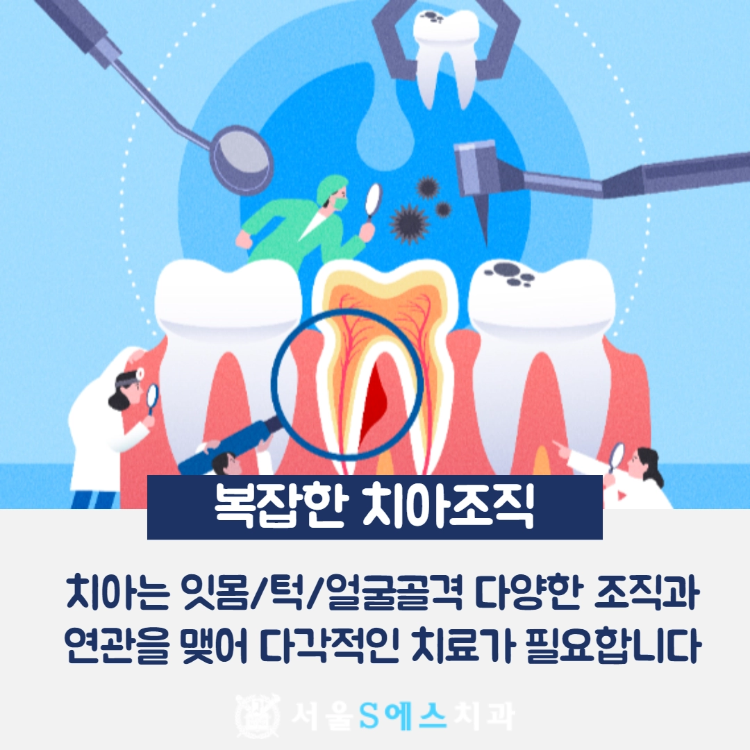 장기동치과, 크라운