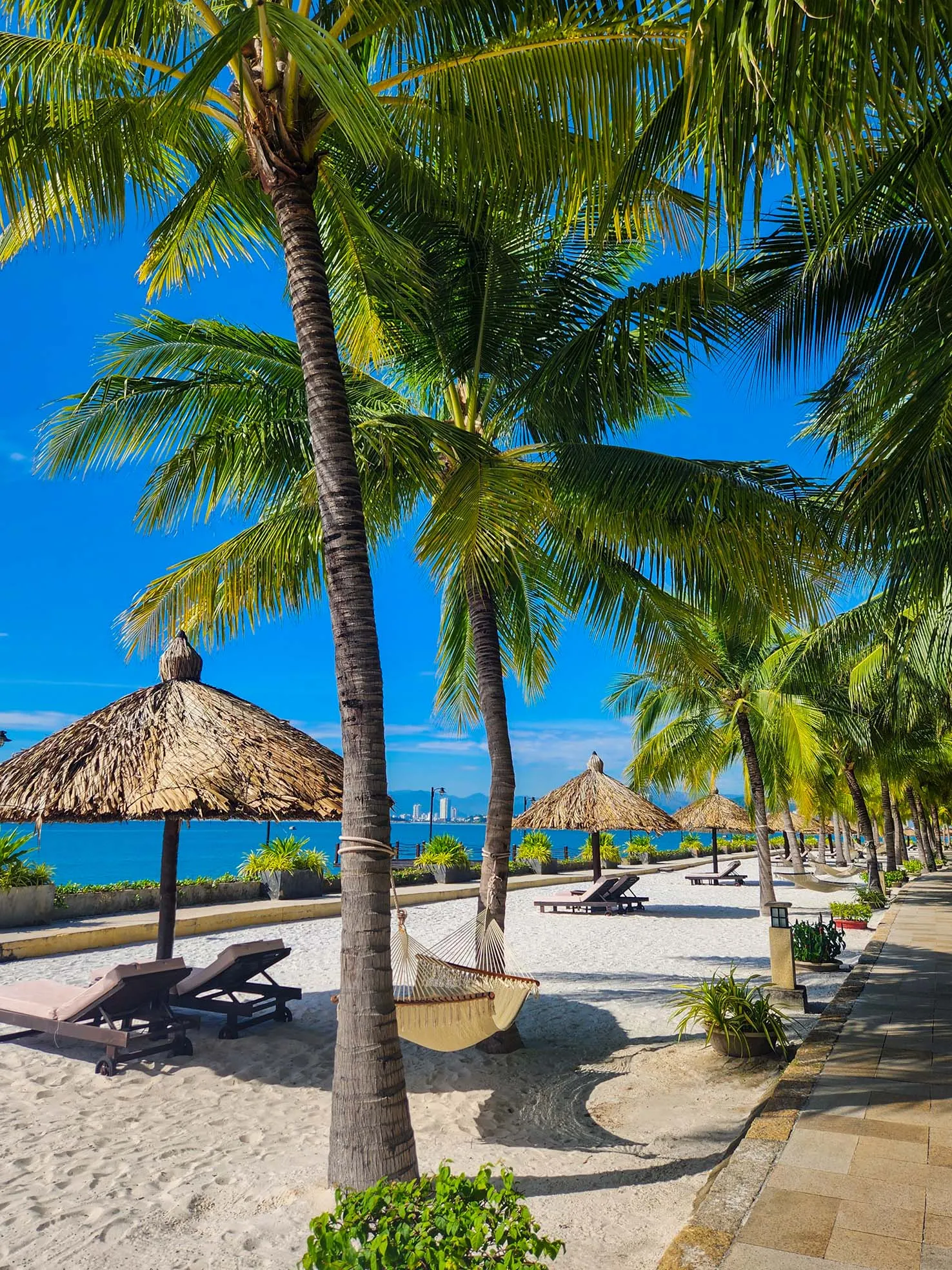 nha trang november weather 나트랑 11월 여행