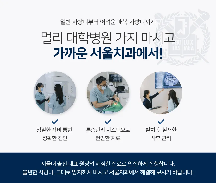 사랑니 발치 오송 서울치과