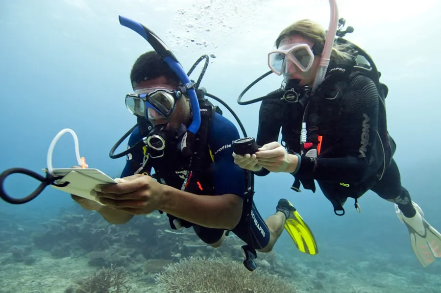 https://www.dresseldivers.com/wp-content/uploads/Underwater-navigation-tips-couple.jpg