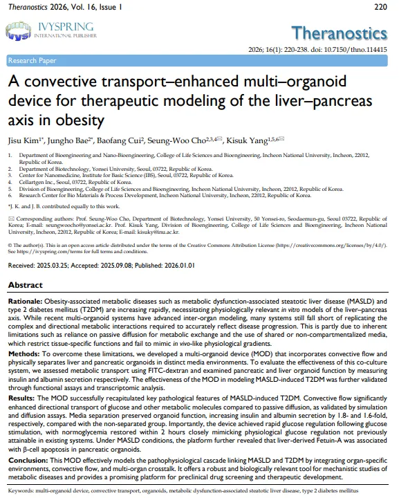 논문 관련 자료