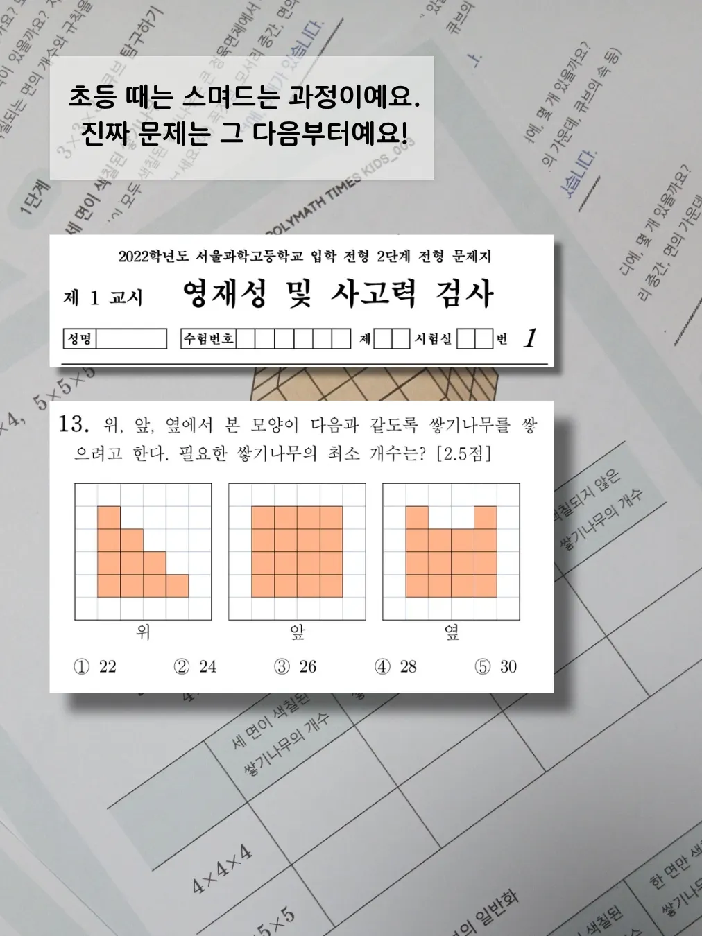 폴리매스 타임즈