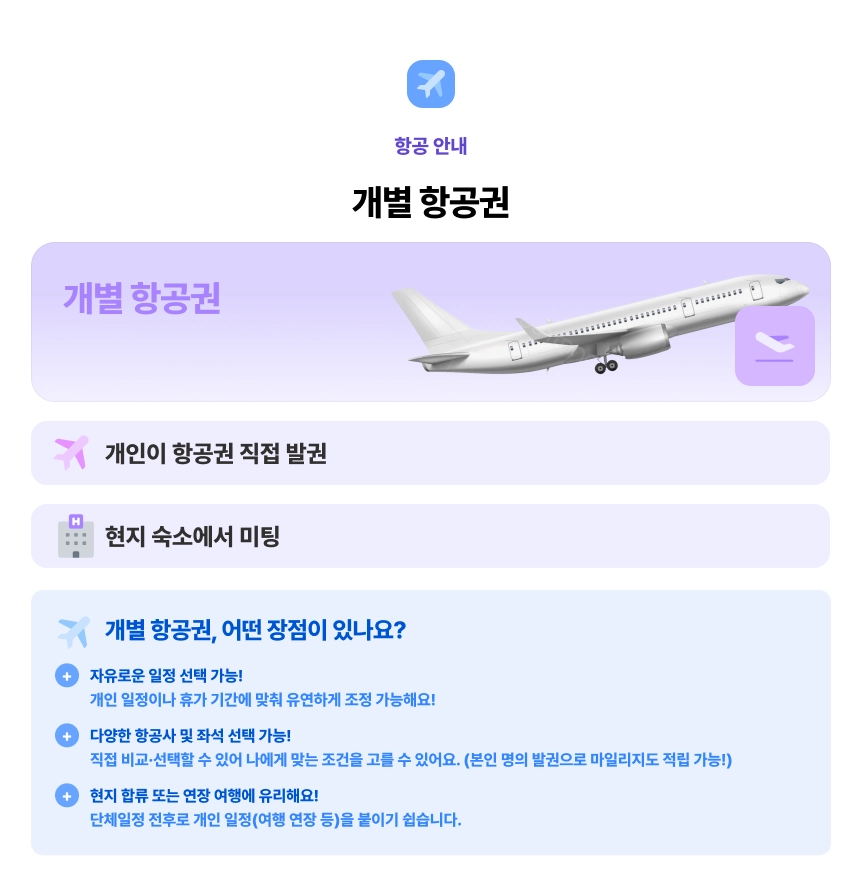 항공권 정보