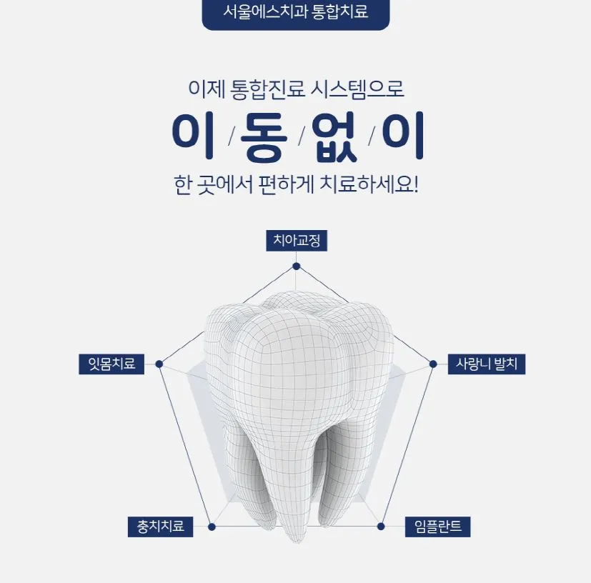 연 1회 스케일링 건강보험 적용