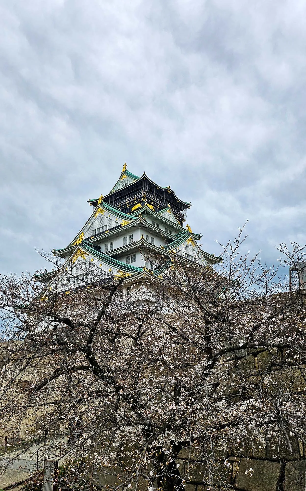 오사카 여행 명소 오사카성