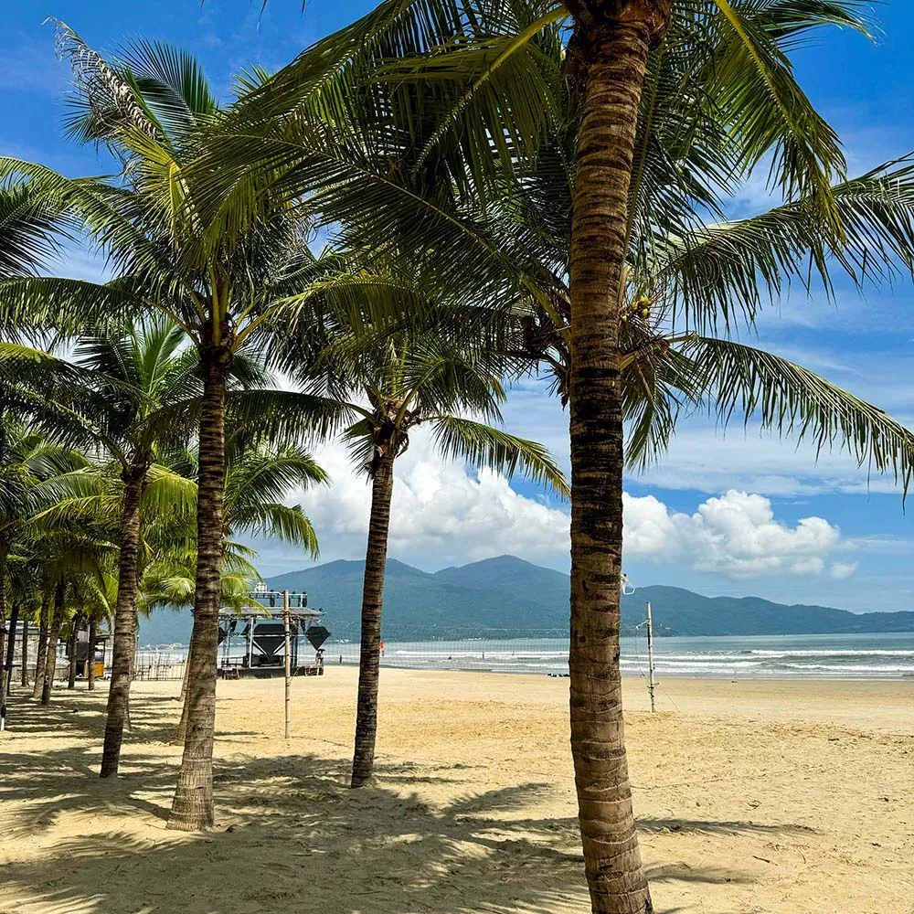 화창한 다낭 날씨