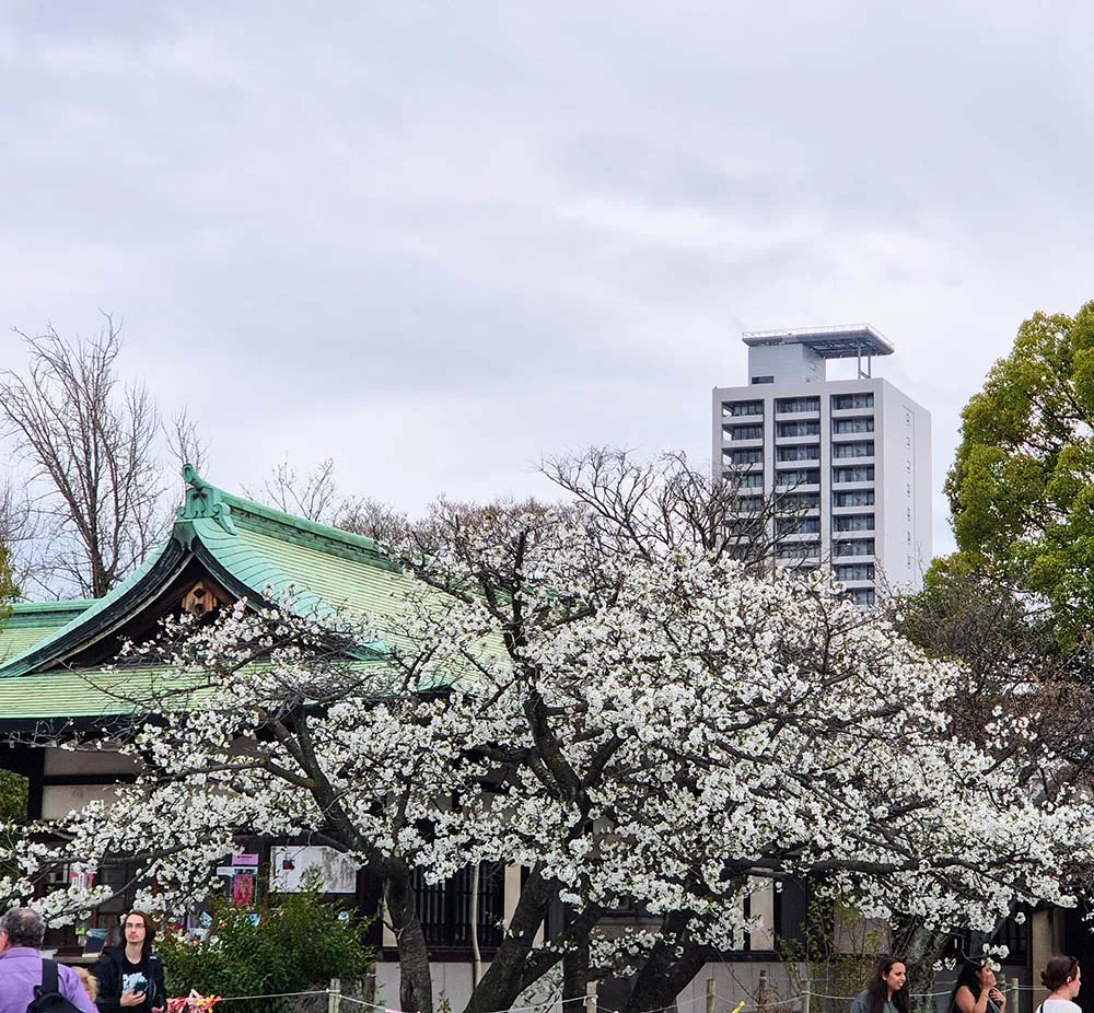 오사카 관광 명소 오사카성