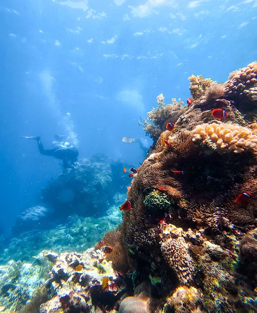 릴로안 다이빙 사이트 니모 아파트