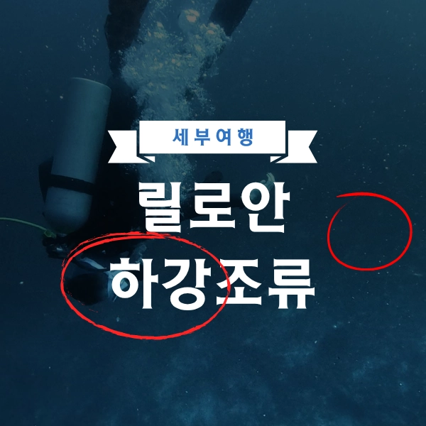 하강 조류를 만난 릴로안 다이빙