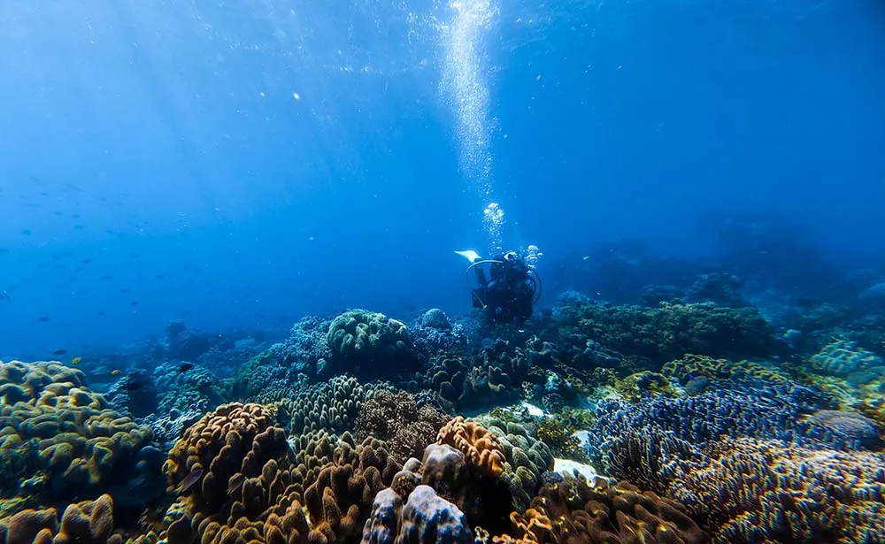 얕은 수심이 정말 이뻤던 릴로안 다이빙