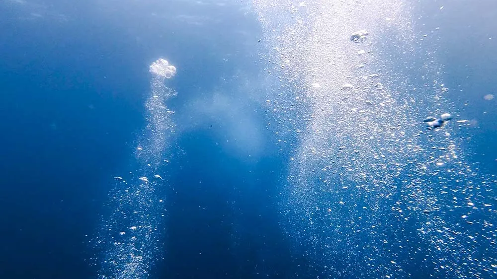하강 조류 지역을 벗어났지만 아직도 버블들이 수면으로 올라가는 속도가 느렸던 순간의 사진