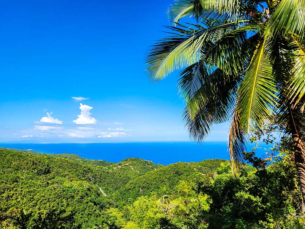 투말록 산에서 바라보는 세부 남부 바다