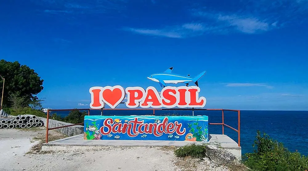 운이 좋으면 블랙팁 새끼 상어들이 몰려다니는 걸 볼 수 있다는 곳