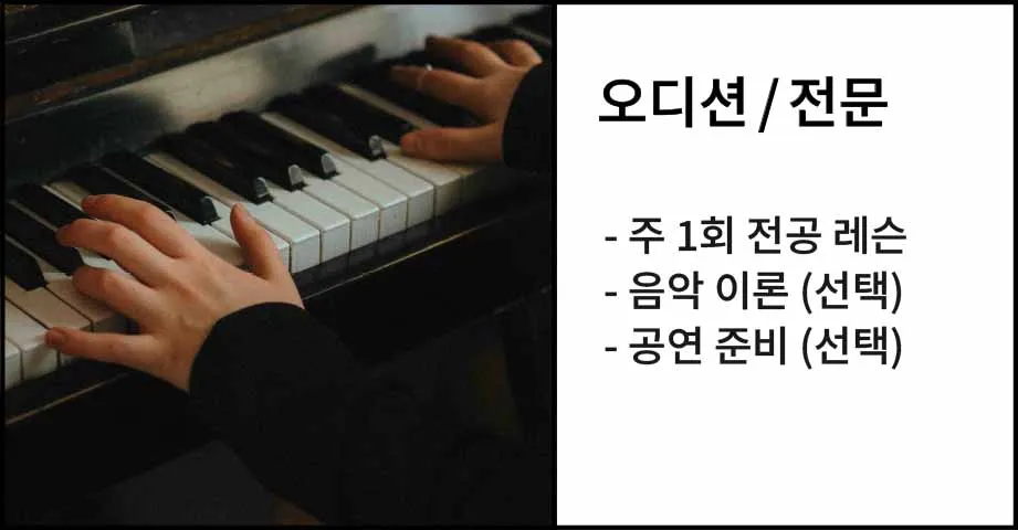 서초구 방배동 더뮤직아카데미 오디션반, 전문반 수업과정
