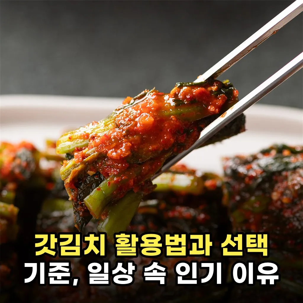 갓김치 활용법과 선택 기준, 일상 속 인기 이유