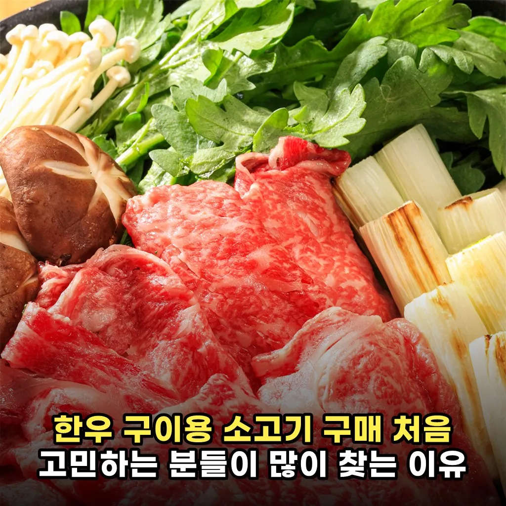 한우 구이용 소고기 구매 처음 고민하는 분들이 많이 찾는 이유