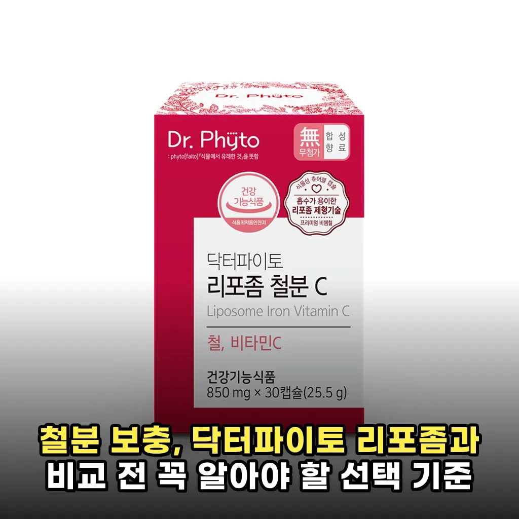 철분 보충, 닥터파이토 리포좀과 비교 전 꼭 알아야 할 선택 기준