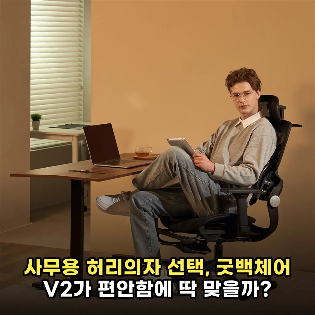 사무용 허리의자 선택, 굿백체어 V2가 편안함에 딱 맞을까?