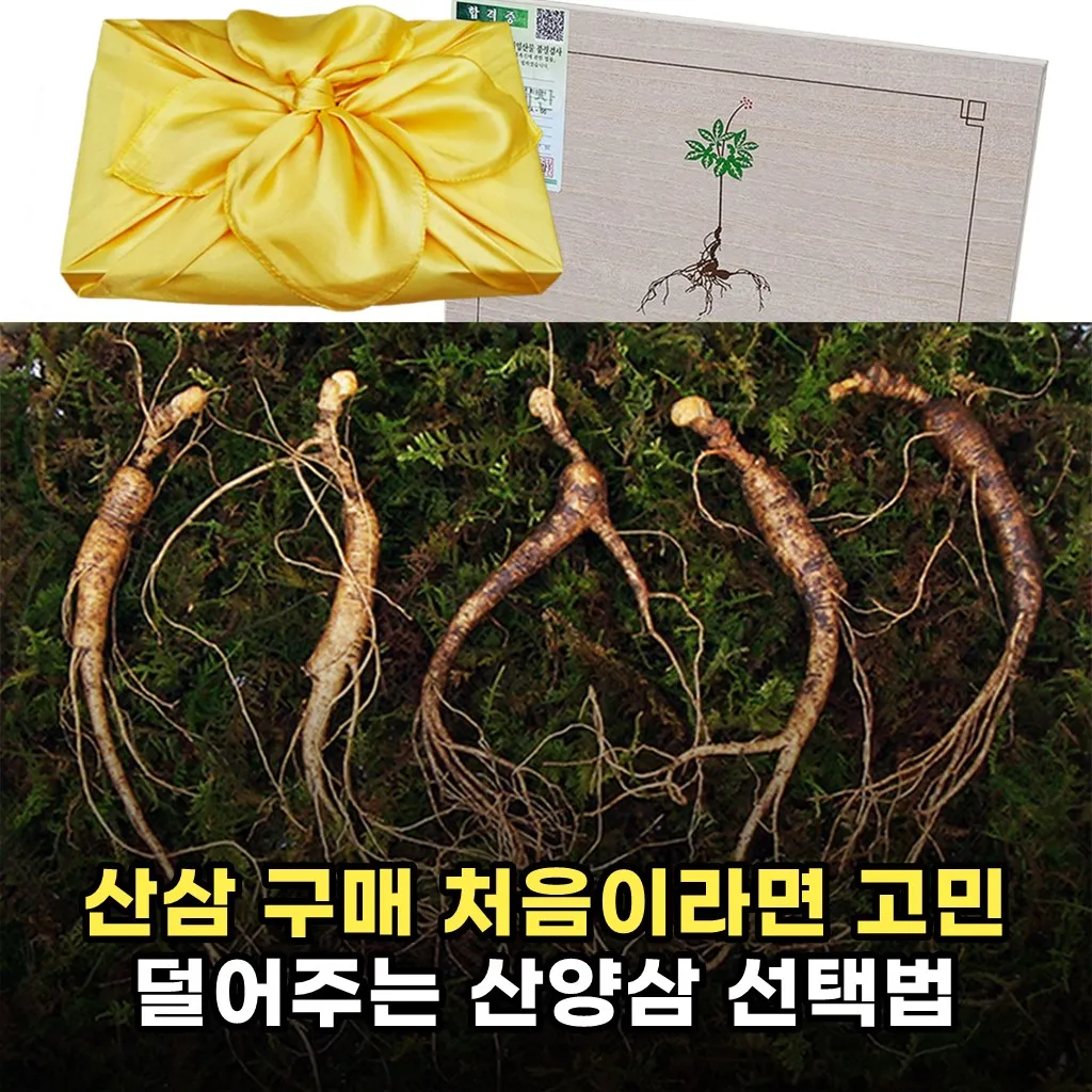 산삼 구매 처음이라면 고민 덜어주는 산양삼 선택법