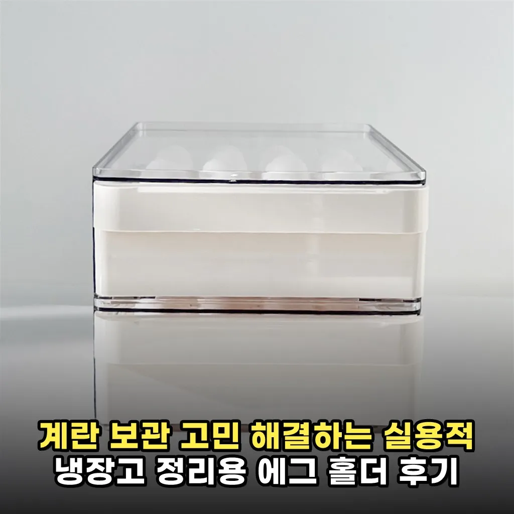 계란 보관 고민 해결하는 실용적 냉장고 정리용 에그 홀더 후기