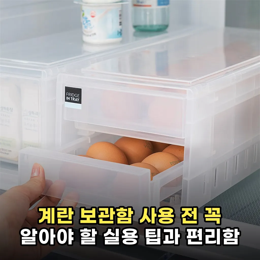 계란 보관함 사용 전 꼭 알아야 할 실용 팁과 편리함