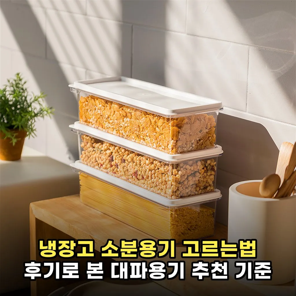 냉장고 소분용기 고르는법 후기로 본 대파용기 추천 기준