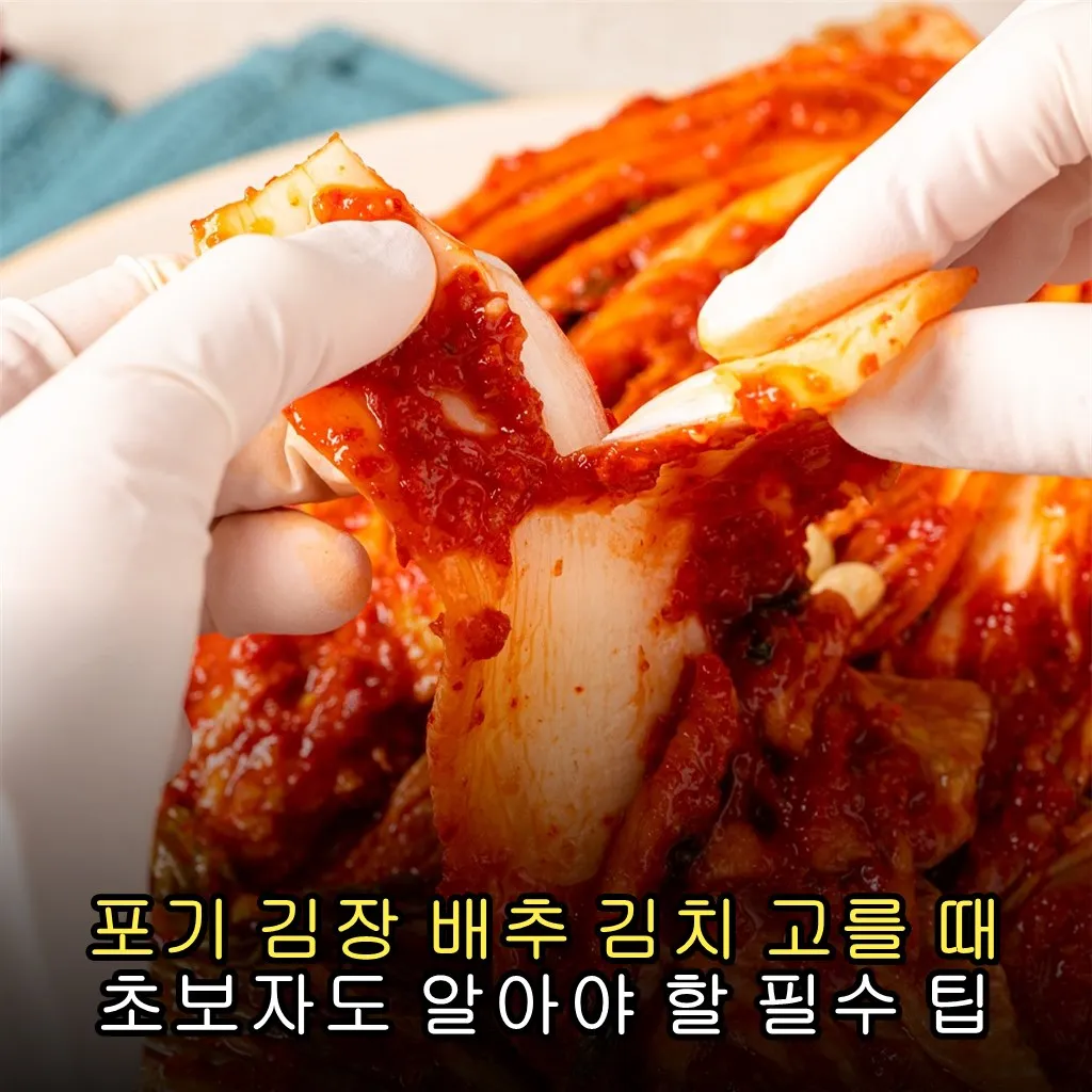 포기 김장 배추 김치 고를 때 초보자도 알아야 할 필수 팁