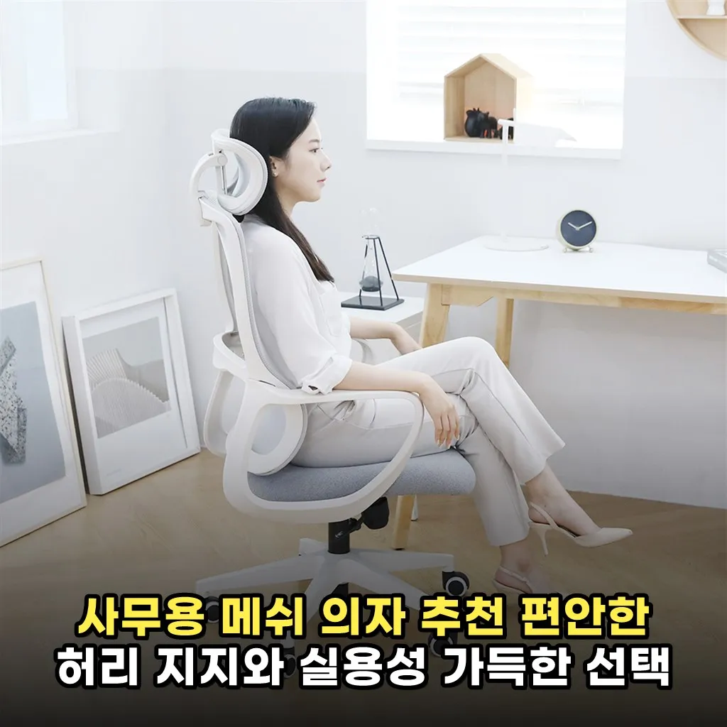 사무용 메쉬 의자 추천 편안한 허리 지지와 실용성 가득한 선택
