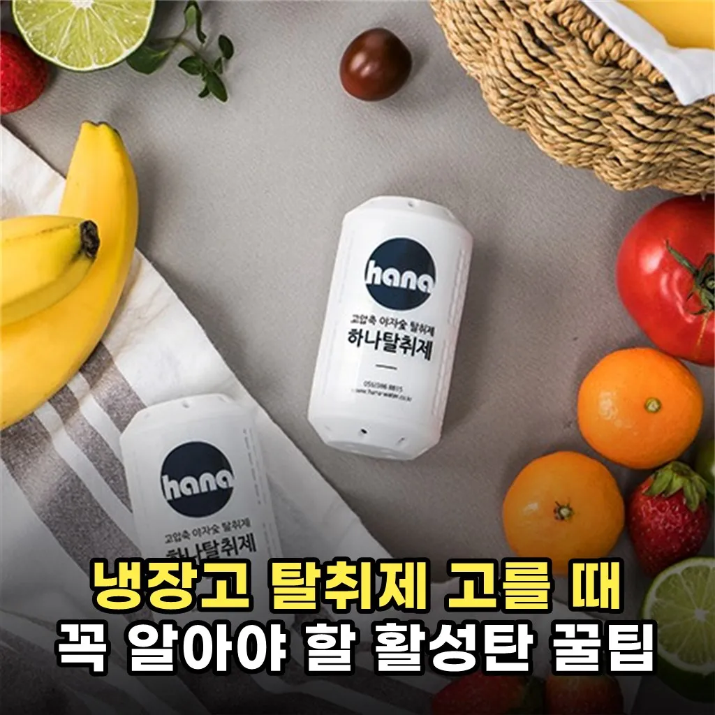 냉장고 탈취제 고를 때 꼭 알아야 할 활성탄 꿀팁