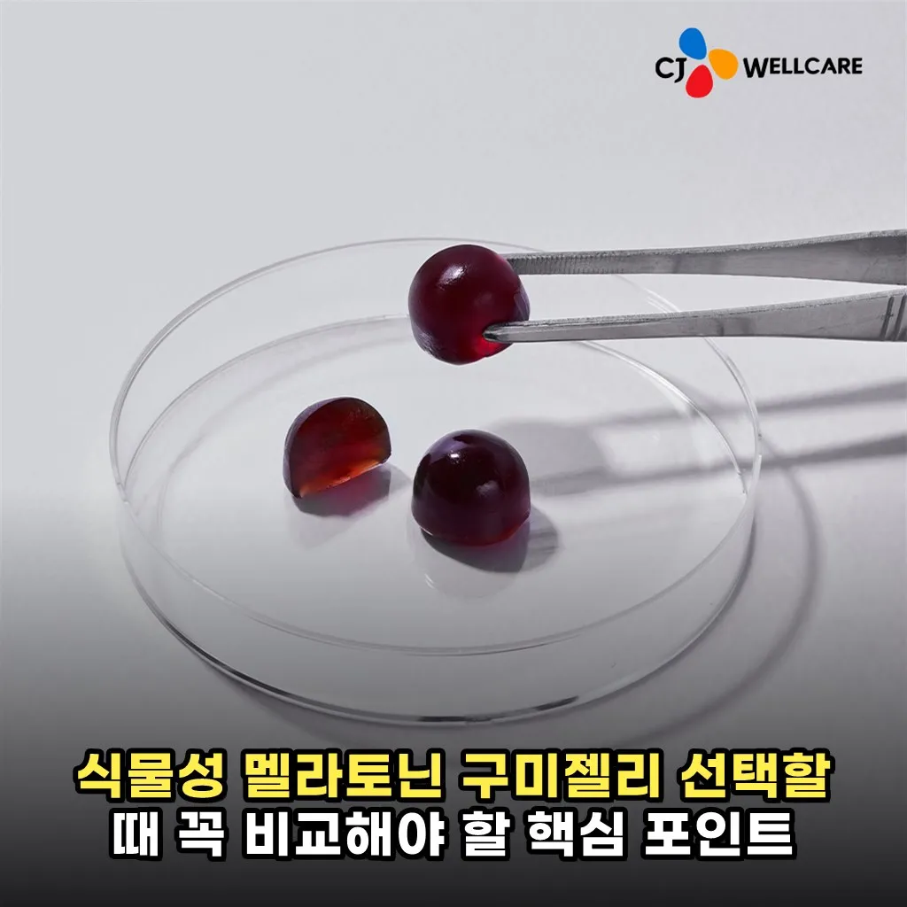 식물성 멜라토닌 구미젤리 선택할 때 꼭 비교해야 할 핵심 포인트