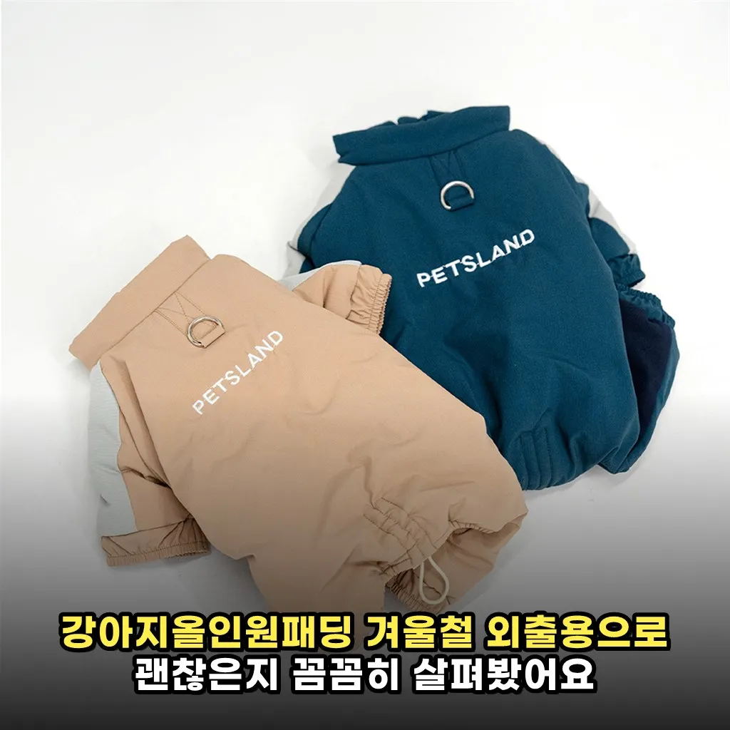 강아지올인원패딩 겨울철 외출용으로 괜찮은지 꼼꼼히 살펴봤어요