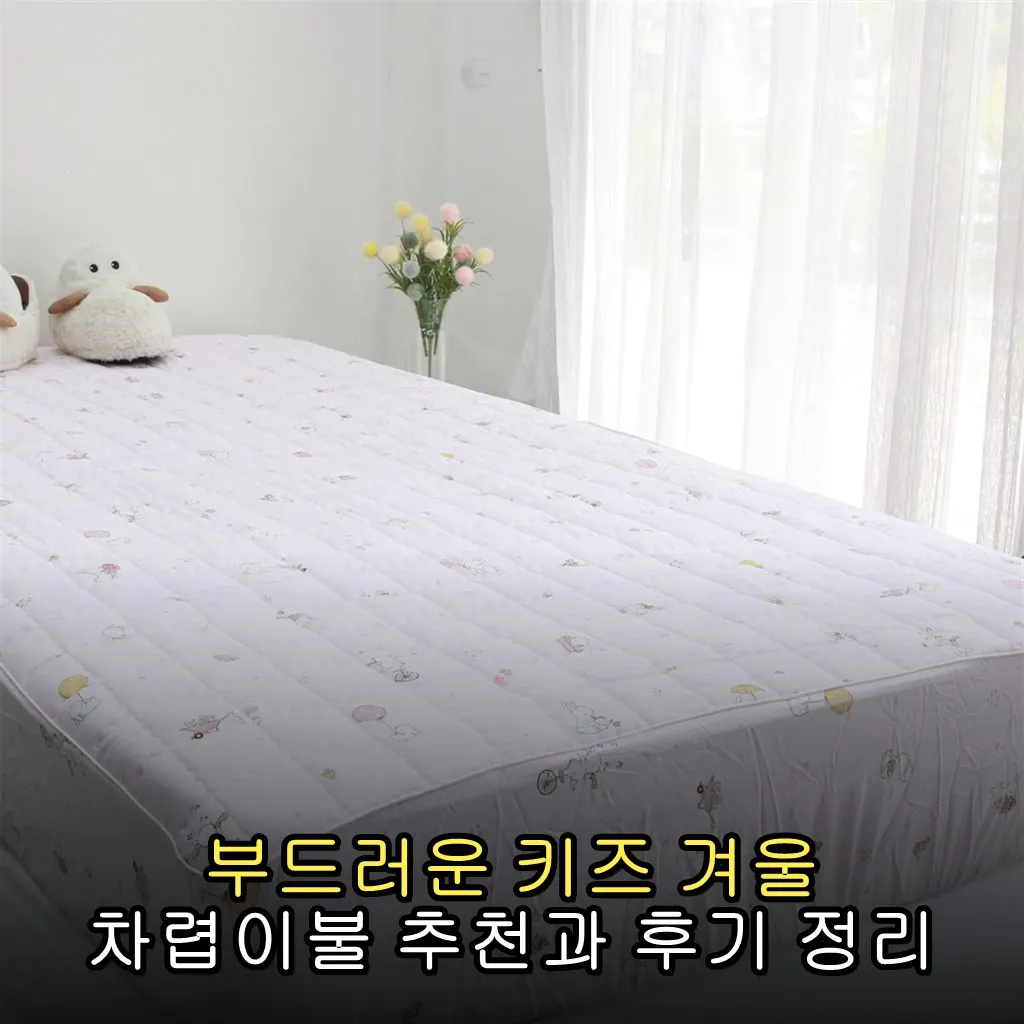부드러운 키즈 겨울 차렵이불 추천과 후기 정리