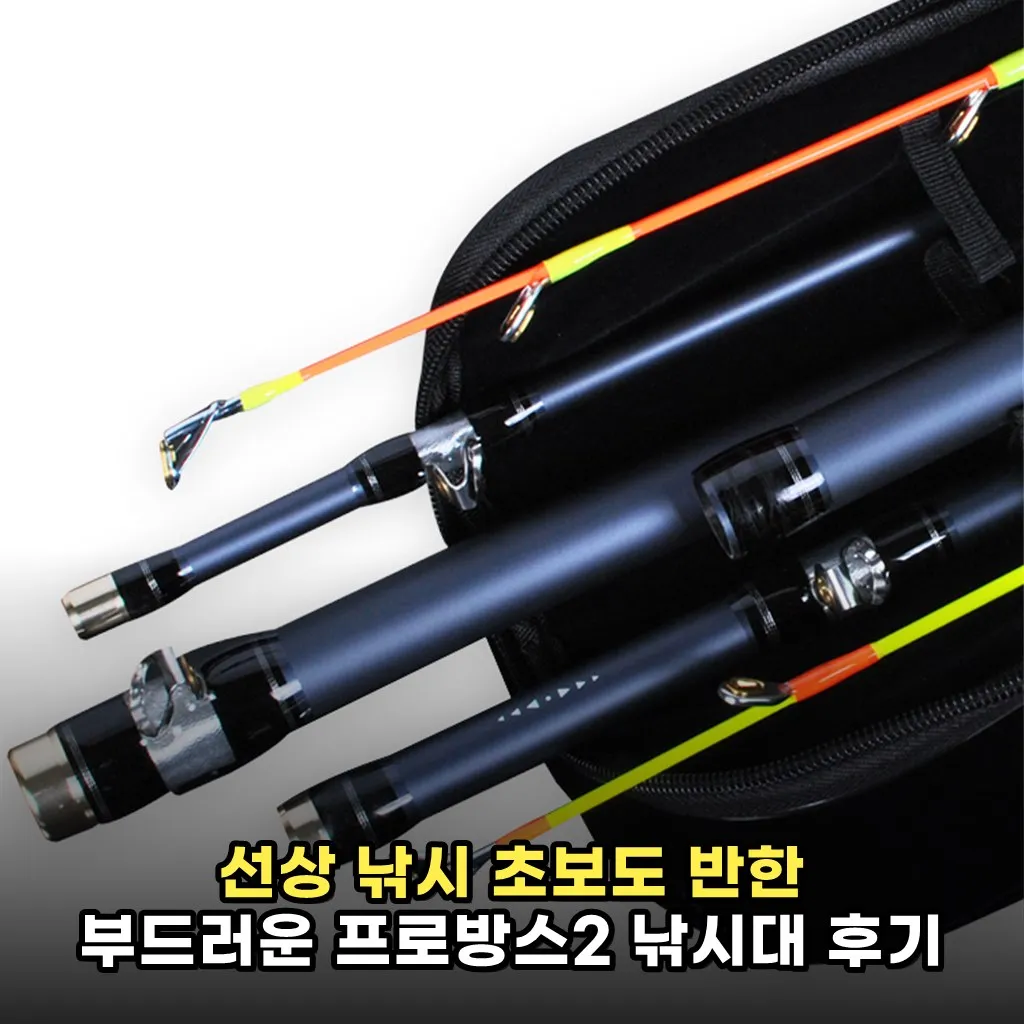 선상 낚시 초보도 반한 부드러운 프로방스2 낚시대 후기
