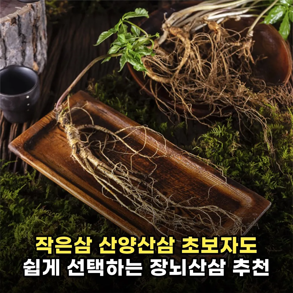 작은삼 산양산삼 초보자도 쉽게 선택하는 장뇌산삼 추천