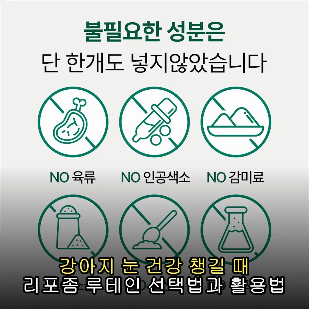 강아지 눈 건강 챙길 때 리포좀 루테인 선택법과 활용법