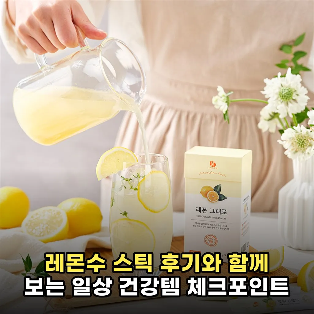 레몬수 스틱 후기와 함께 보는 일상 건강템 체크포인트