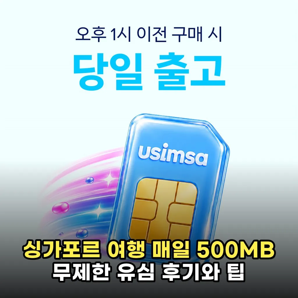 싱가포르 여행 매일 500MB 무제한 유심 후기와 팁